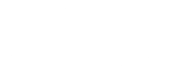 Flusso Store